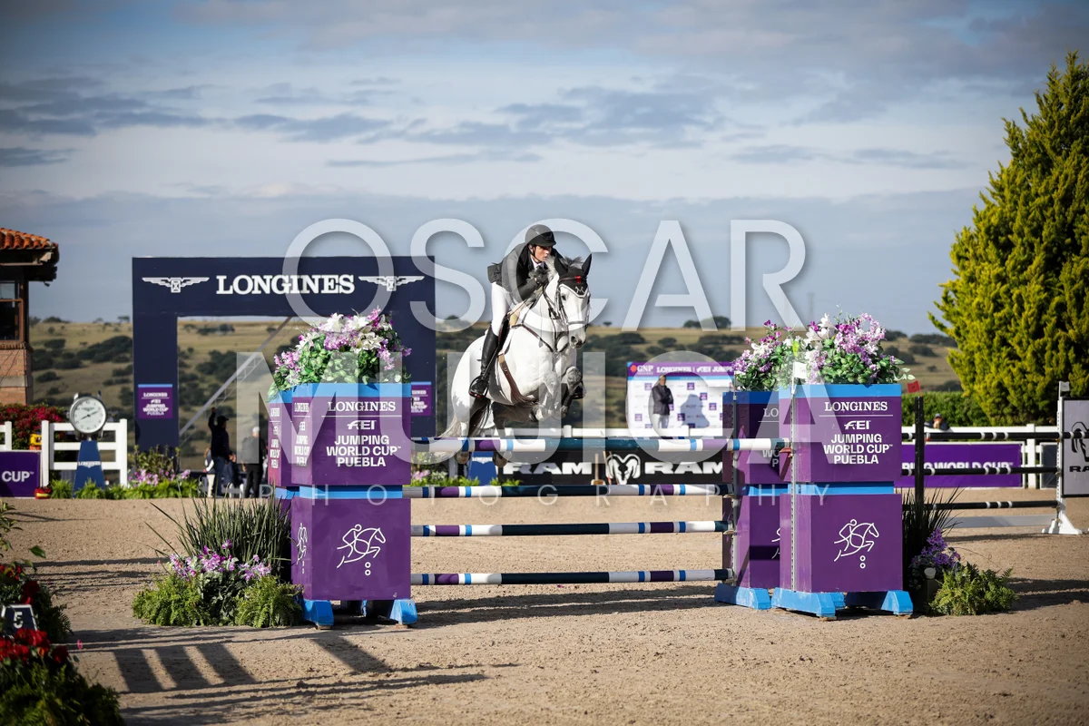 Foto de EMILIO SALINAS