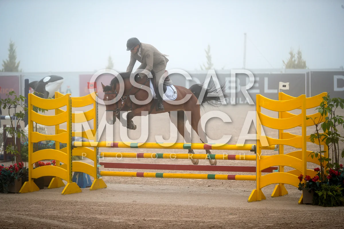 Foto de ERNESTO BOTONE