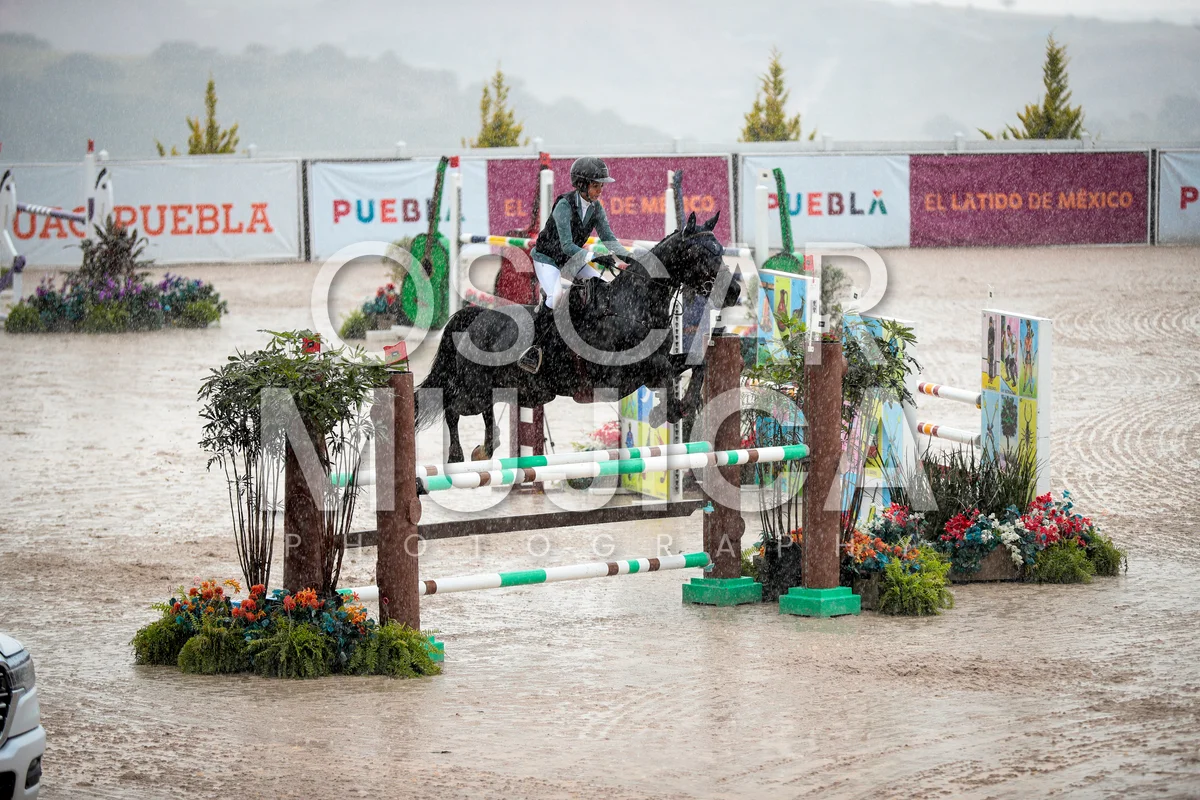 Foto de ISABELLA VELAZQUEZ
