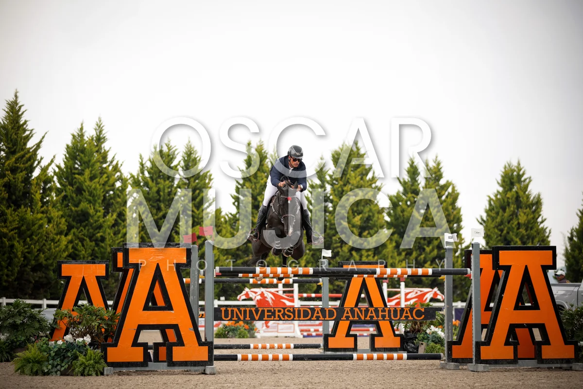 Foto de JOAQUIN ALFONSO