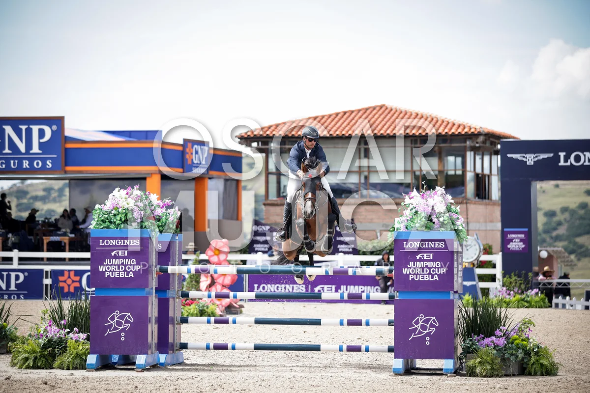 Foto de JOAQUIN ALFONSO