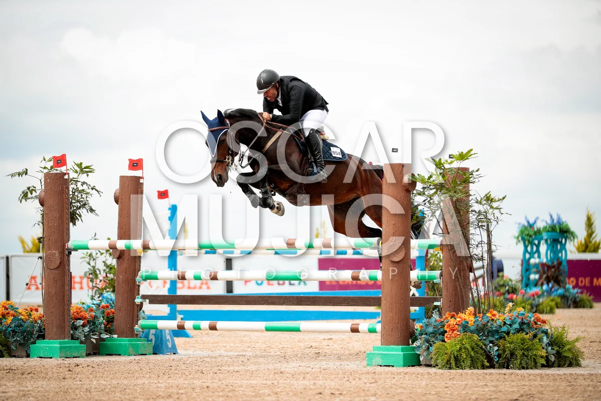 Foto de JORGE GUASCH