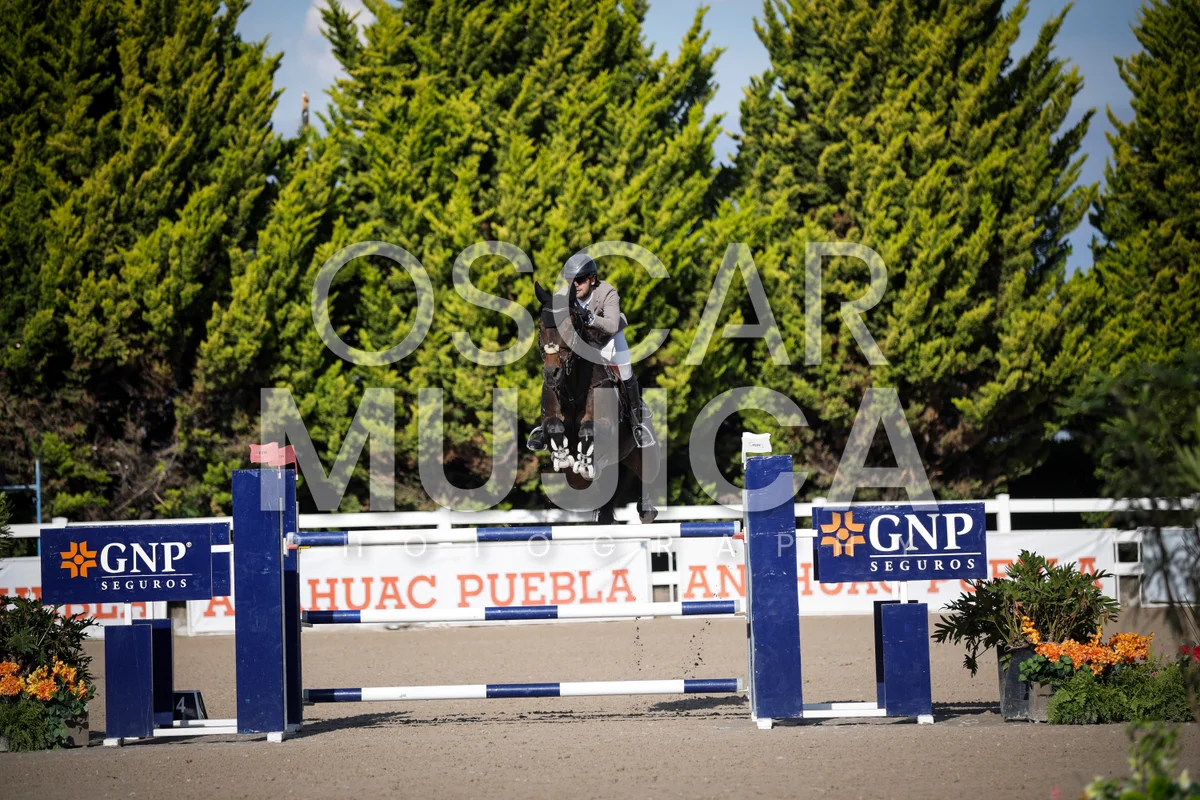 Foto de JOSE ANTONIO CHEDRAUI