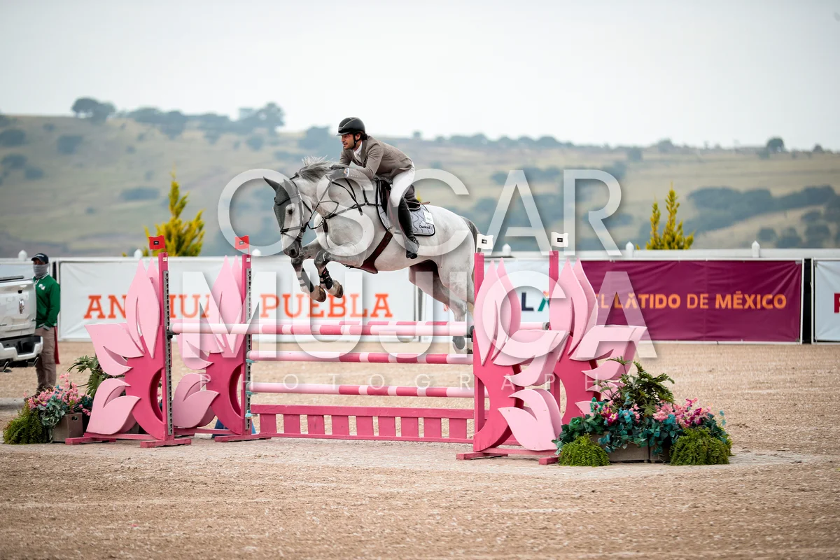 Foto de JOSE ANTONIO CHEDRAUI