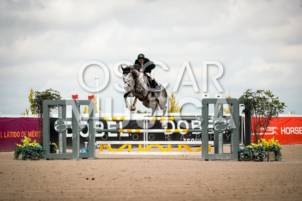 Foto de JUAN BAUTISTA PIDUTTI