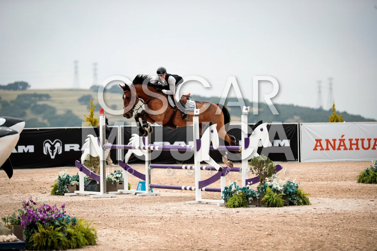 Foto de JUAN CHEDRAUI