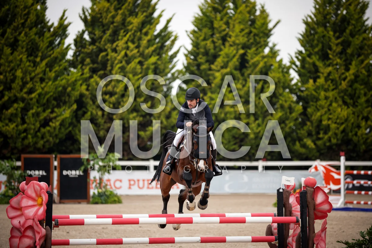 Foto de JUAN LUIS MORELL