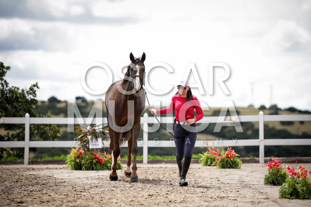 Foto de LAURA BROCARD