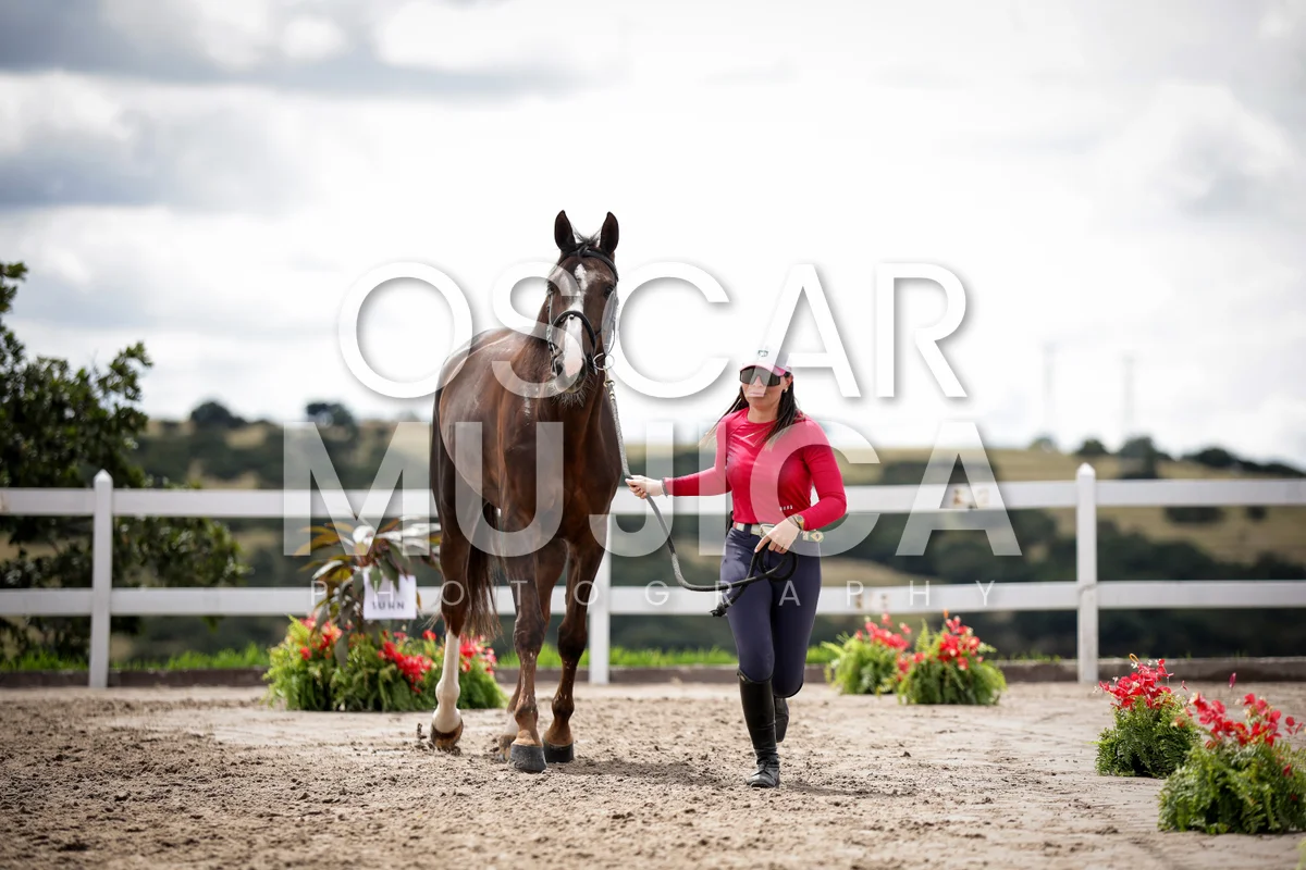 Foto de LAURA BROCARD