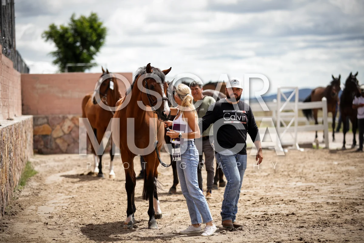 Foto de LAUREN BALCOMB