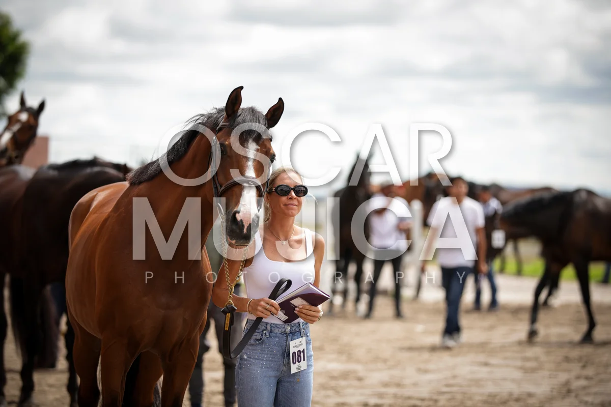 Foto de LAUREN BALCOMB