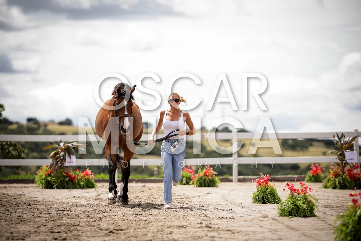 Foto de LAUREN BALCOMB
