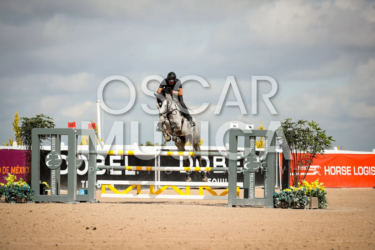 Foto de LEANDRO GONZALEZ