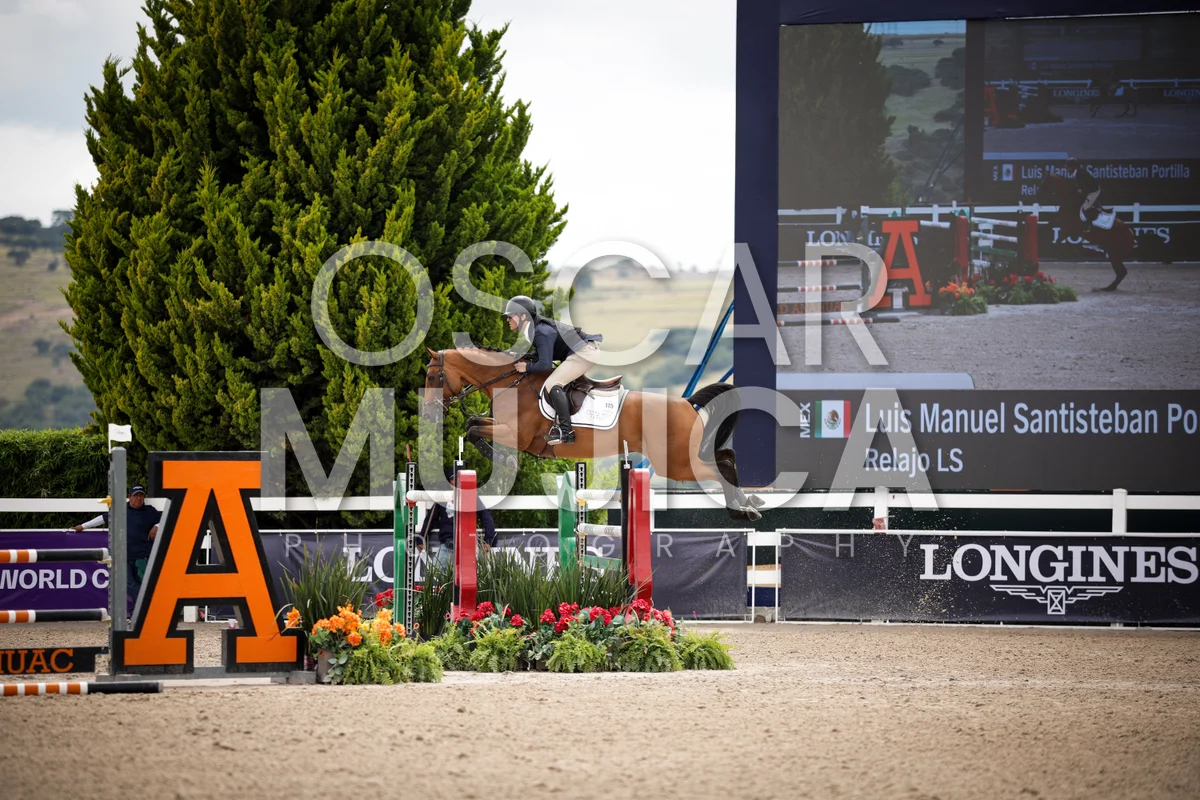 Foto de LUIS MANUEL SANTISTEBAN