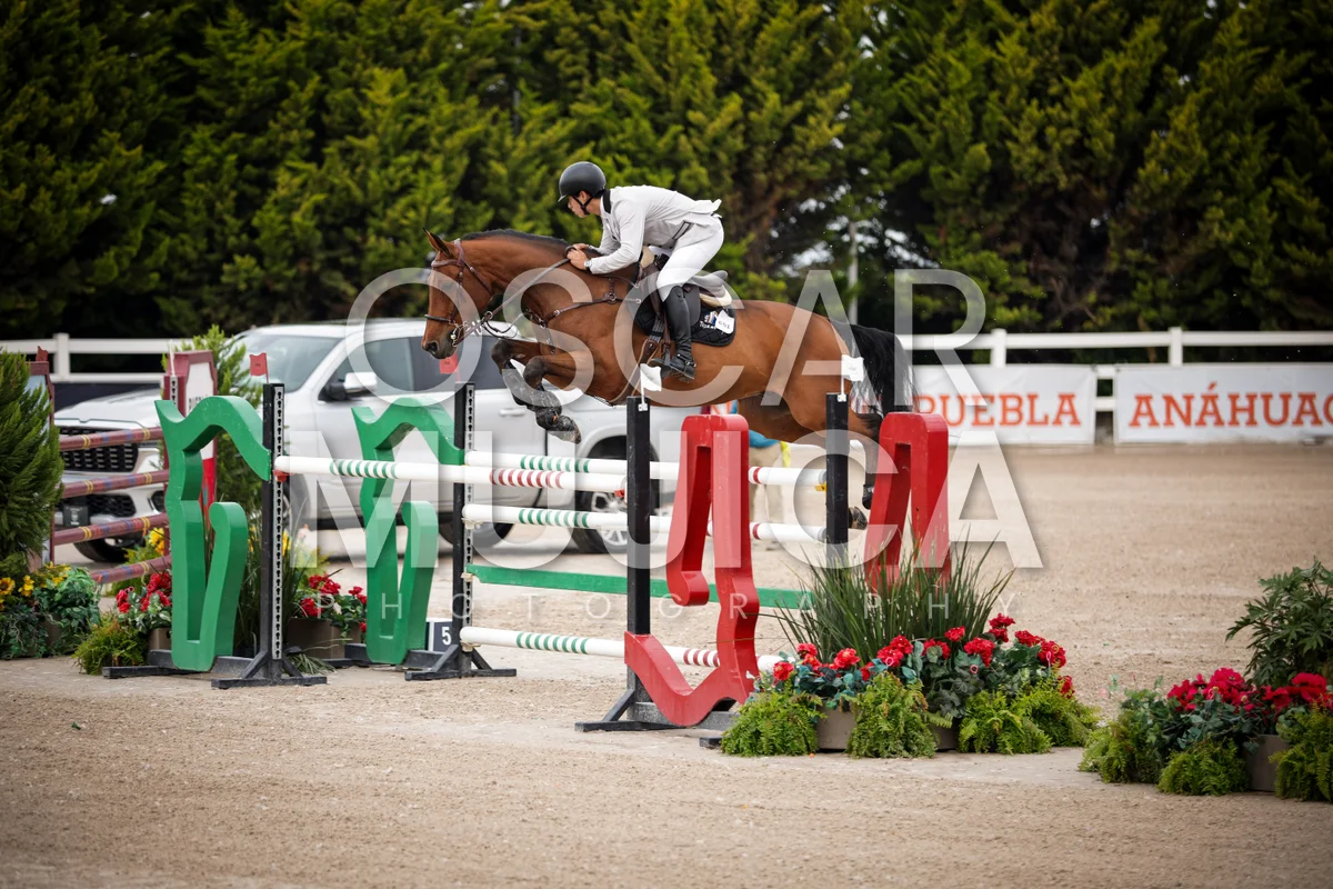 Foto de MAURO NAVA