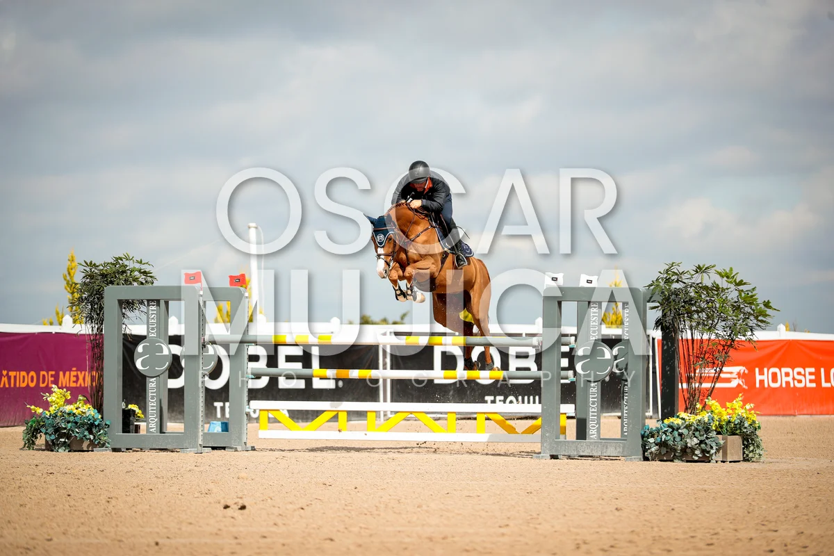 Foto de RAPHAEL OLLER