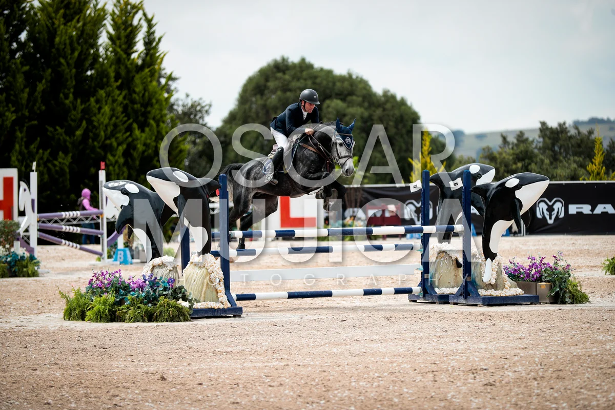 Foto de RAPHAEL OLLER