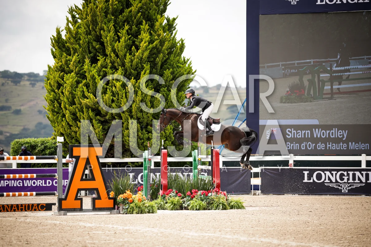 Foto de SHARN WORDLEY
