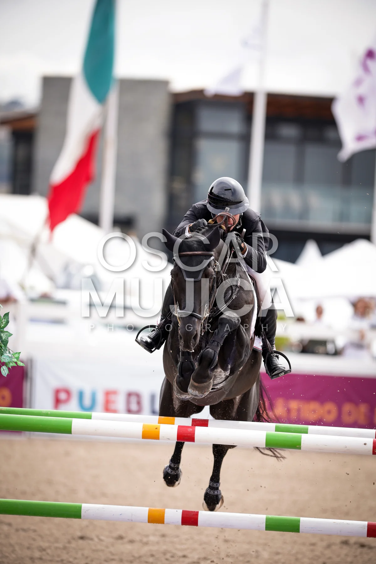 Foto de SHARN WORDLEY