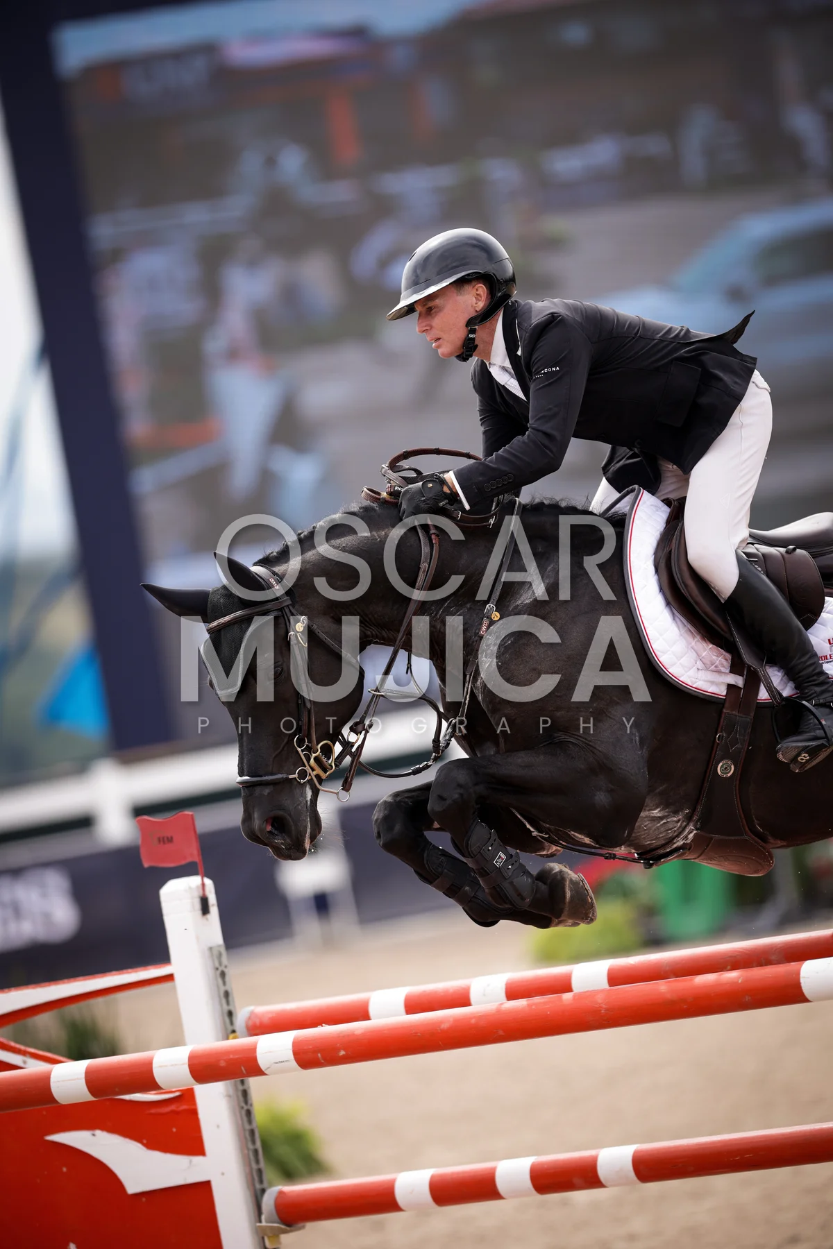 Foto de SHARN WORDLEY
