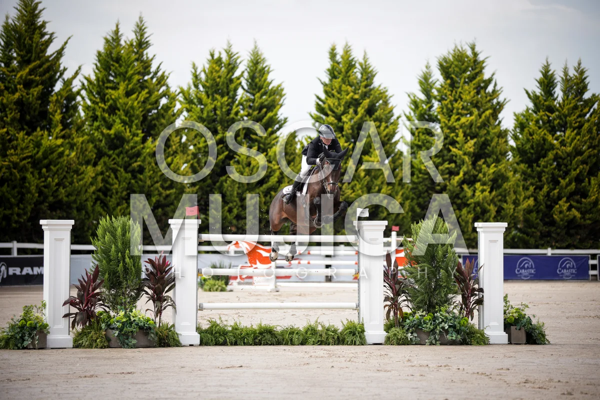 Foto de SHARN WORDLEY