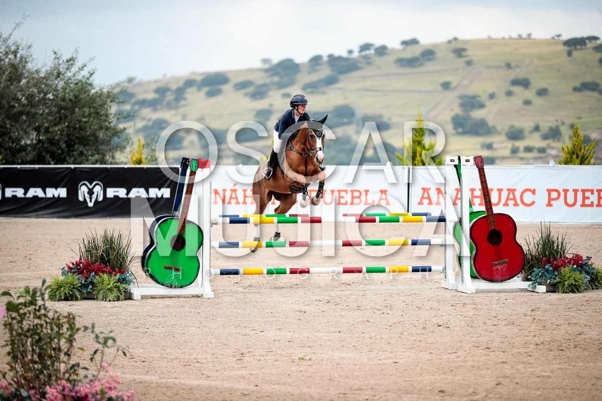 Foto de SIENNA HOLDSWORTH