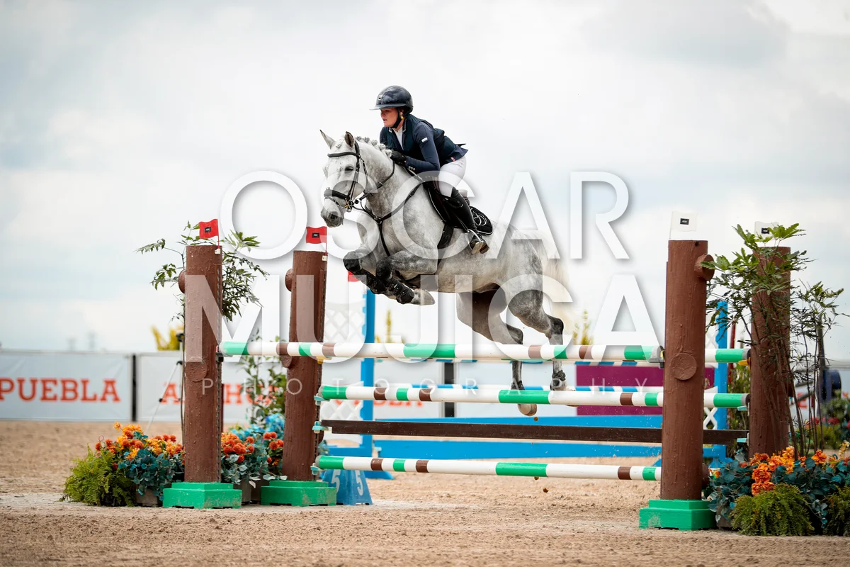 Foto de SIENNA HOLDSWORTH