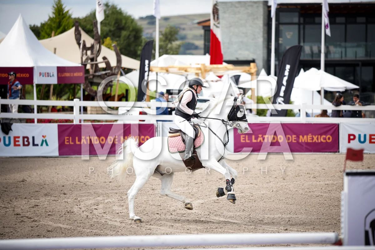 Foto de TATIANA HOLDER