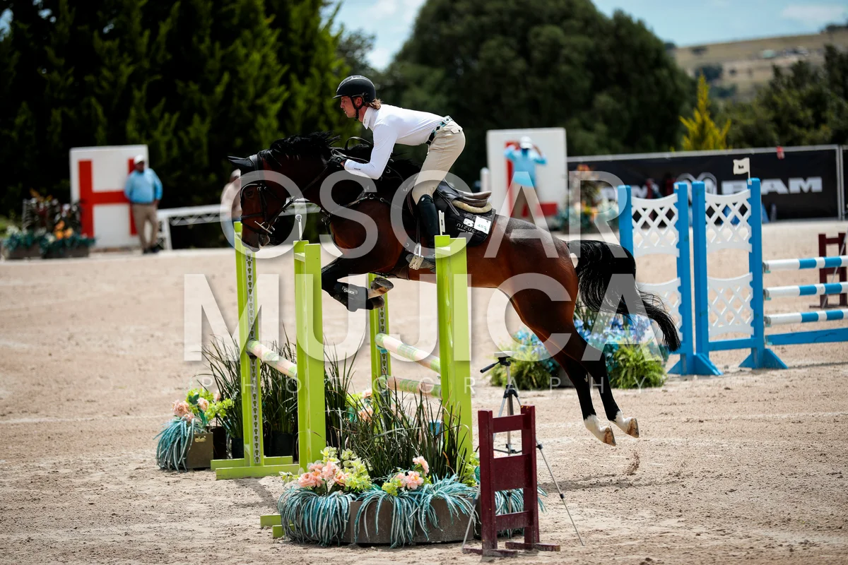 Foto de THIAGO BROWN
