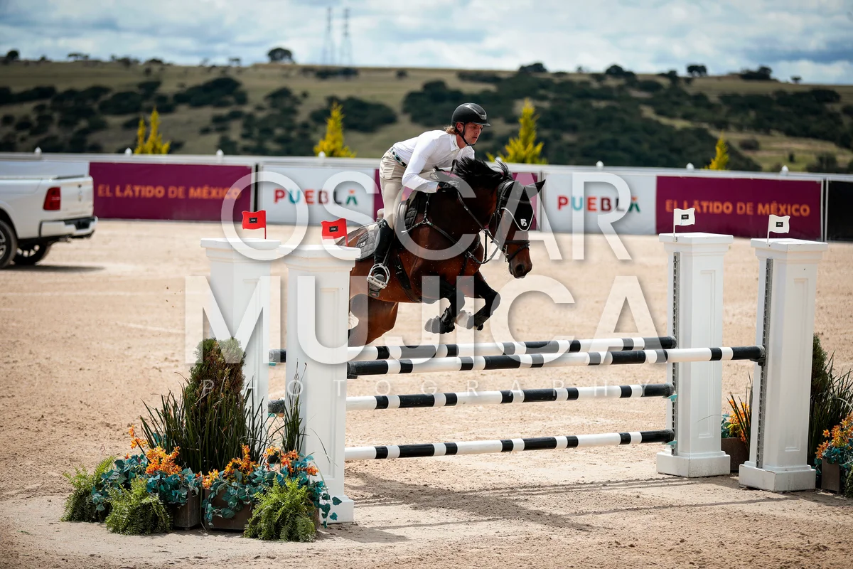 Foto de THIAGO BROWN