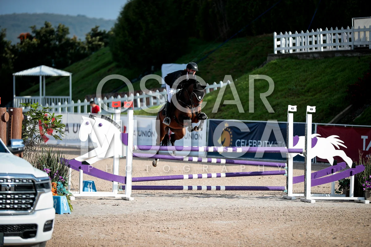 Foto de THIAGO BROWN