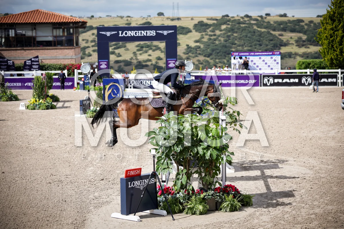 Foto de TOMAS MAGIOLLO
