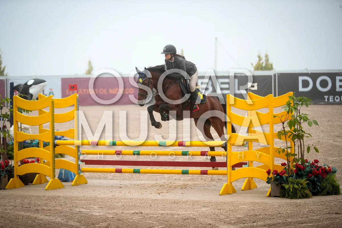 Foto de YADIRA CAPETILLO