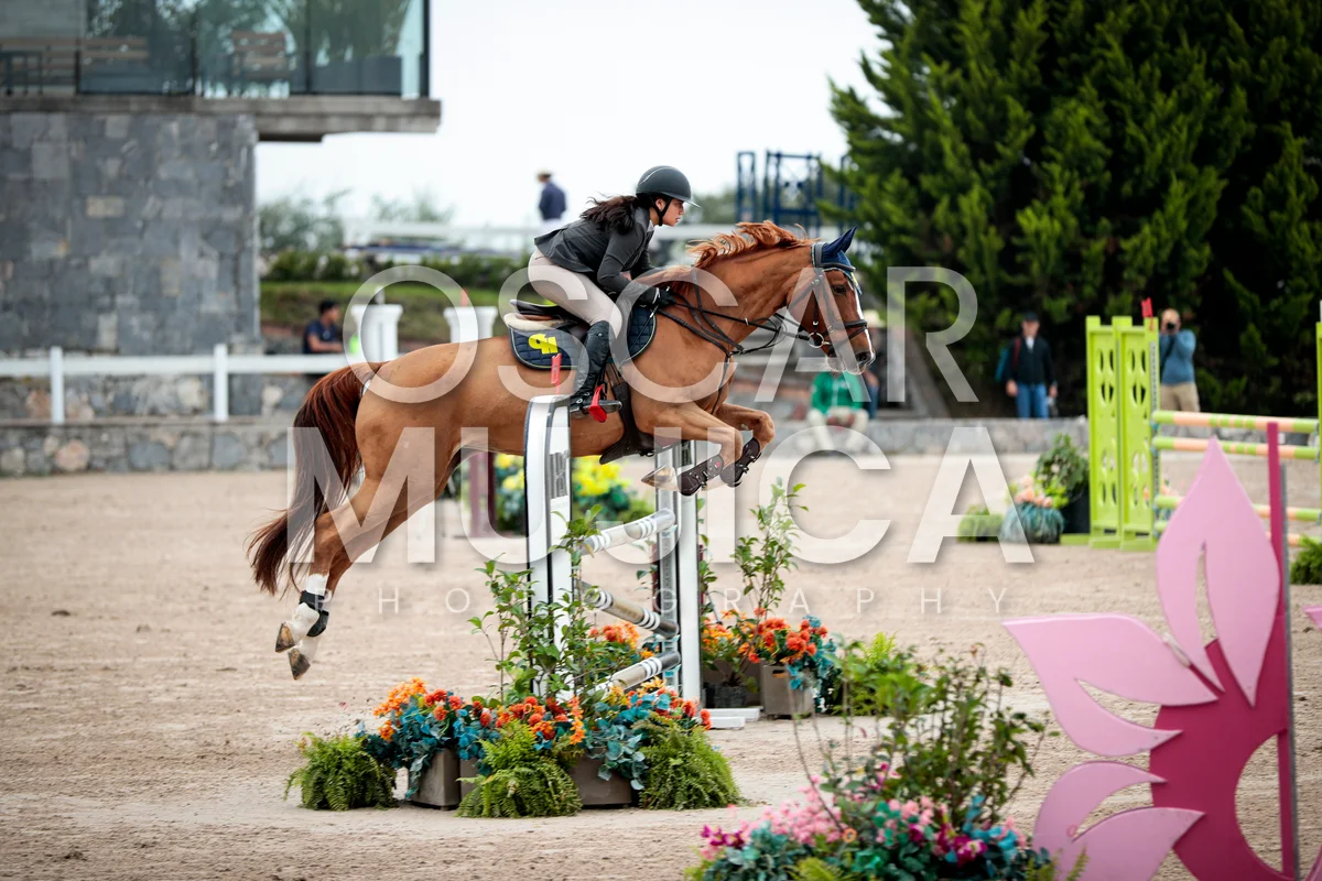 Foto de YADIRA CAPETILLO