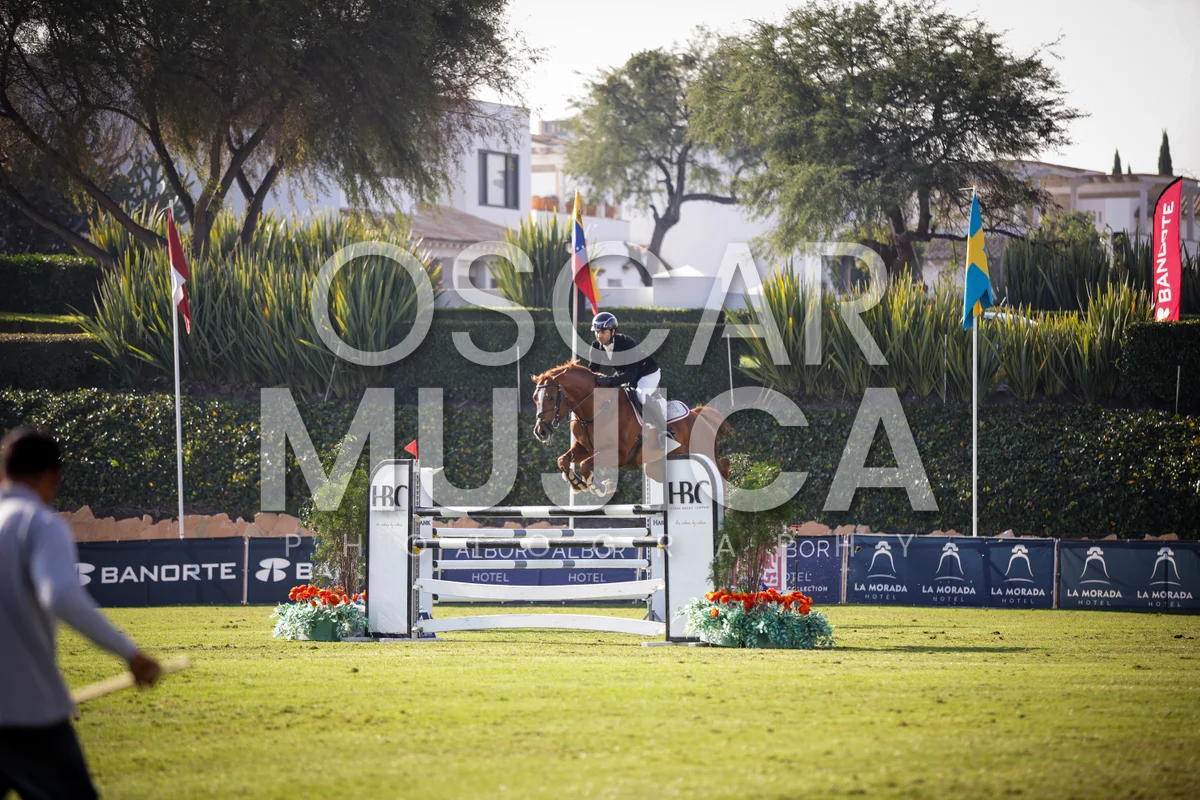 Foto de ANDRES TORRES