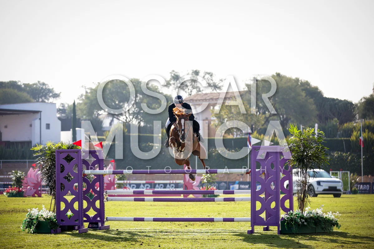 Foto de ANDRES TORRES
