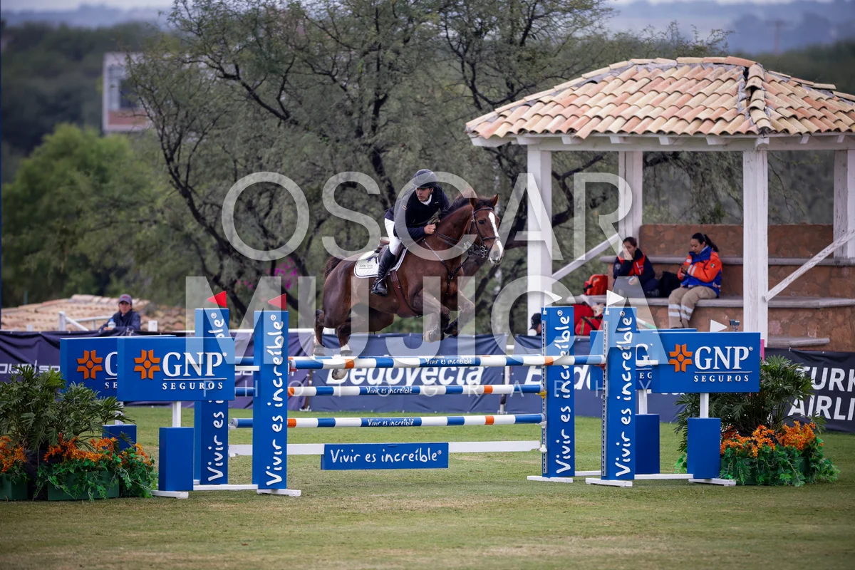 Foto de ANDRES VILLANUEVA