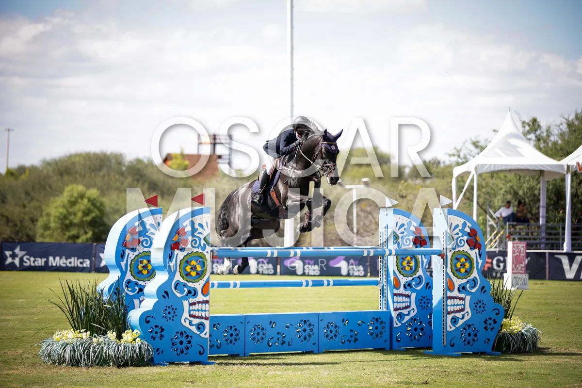 Foto de CLAUDIA MICHEL