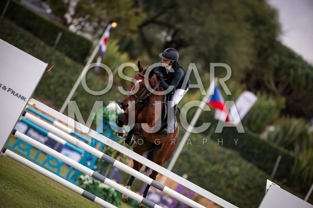 Foto de JACQUELINE SANCHEZCARRILLO