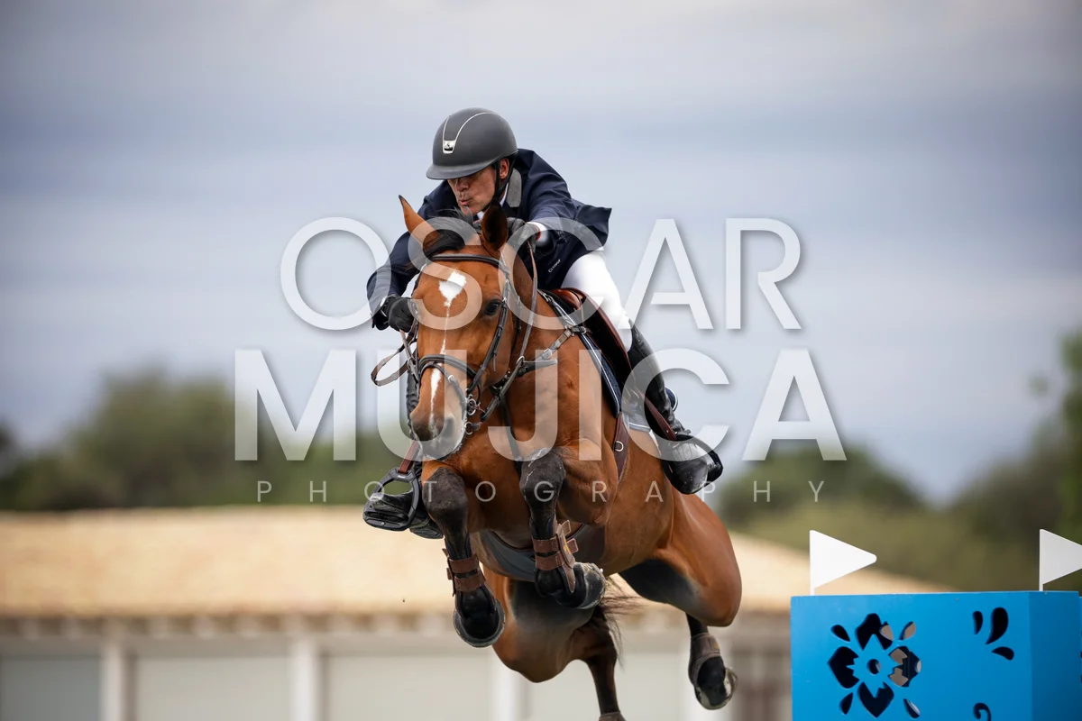 Foto de JAVIER FERNANDEZ