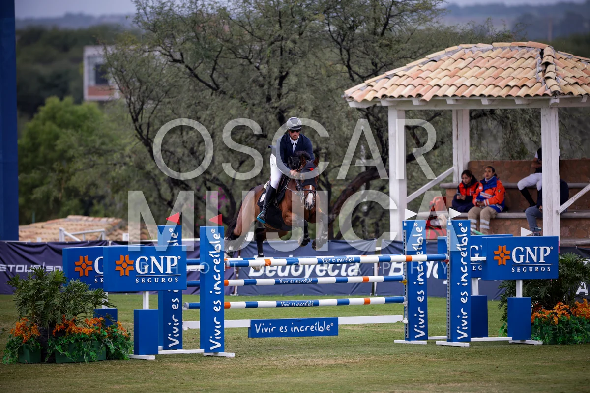Foto de JOAQUIN ALFONSO