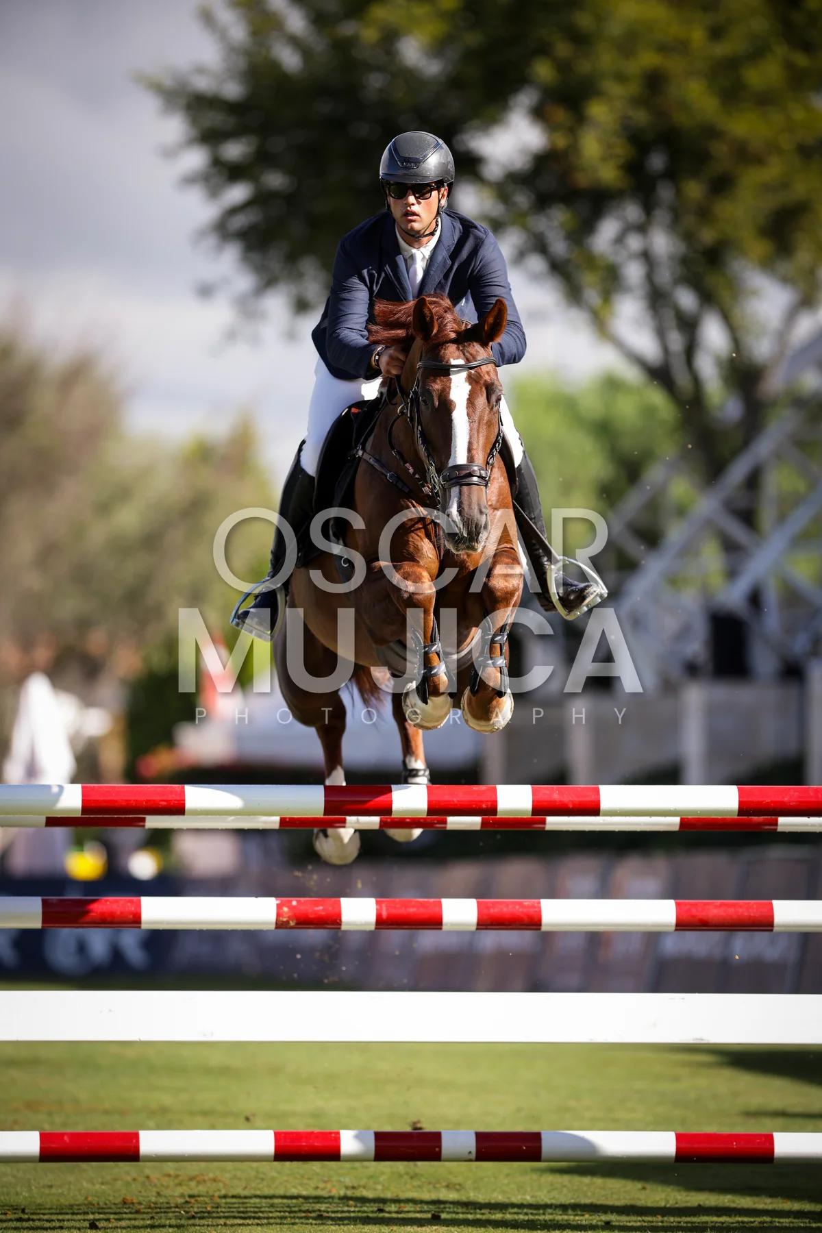 Foto de JOAQUIN ALFONSO