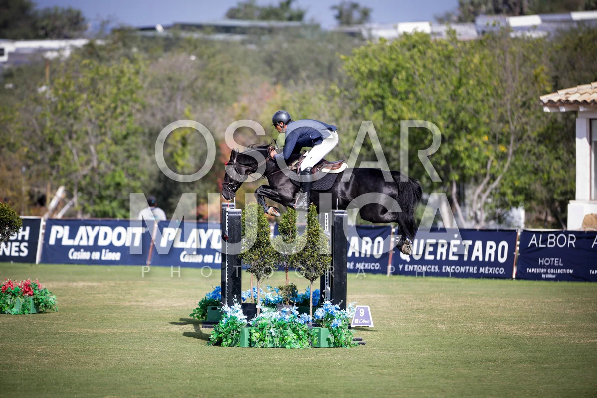 Foto de JOAQUIN ALFONSO