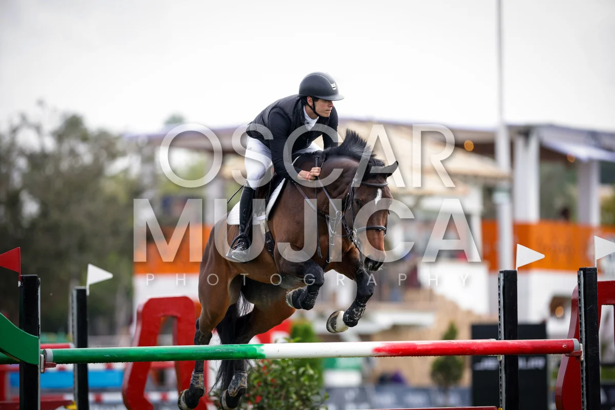 JUAN ANDRES FERNANDEZ