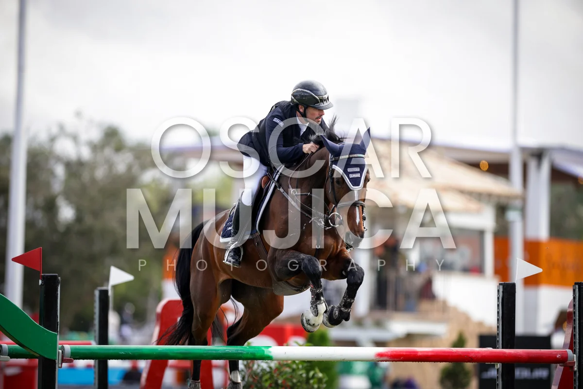 JUAN LUIS MORELL