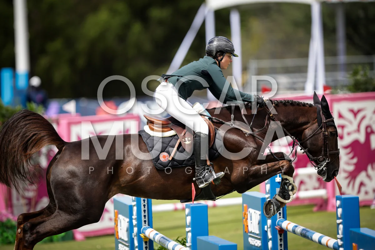 Foto de LAURA BROCARD