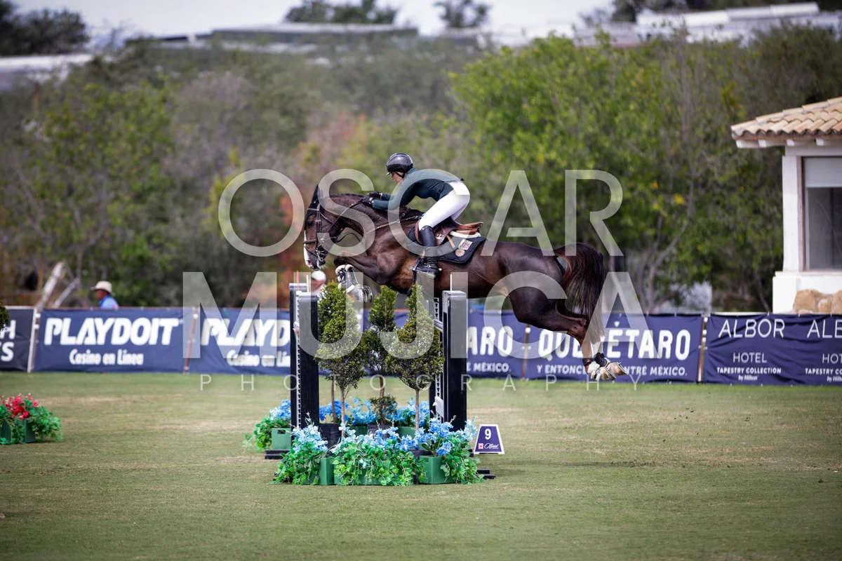 Foto de LAURA BROCARD