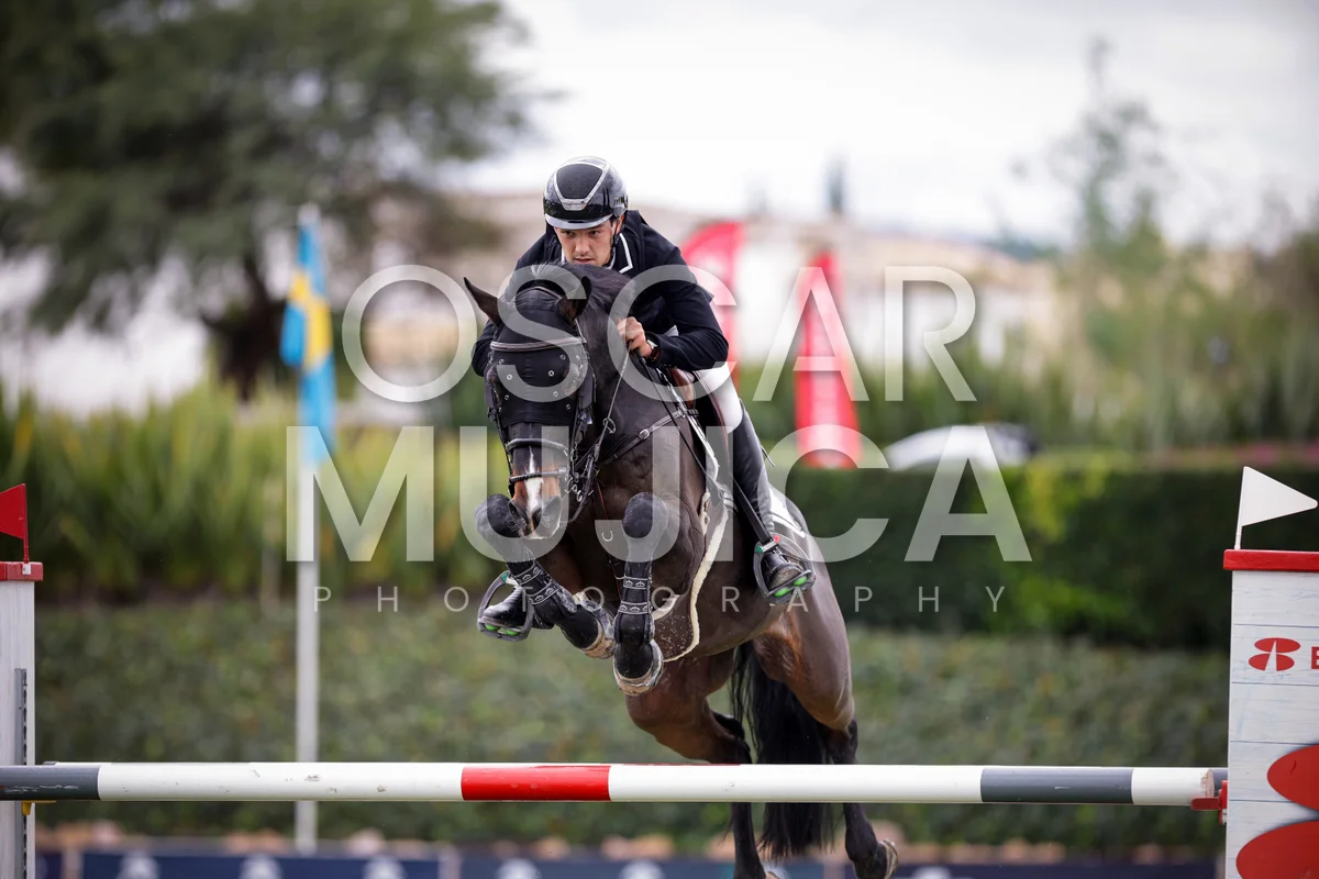 Foto de MARIANO OÑATE