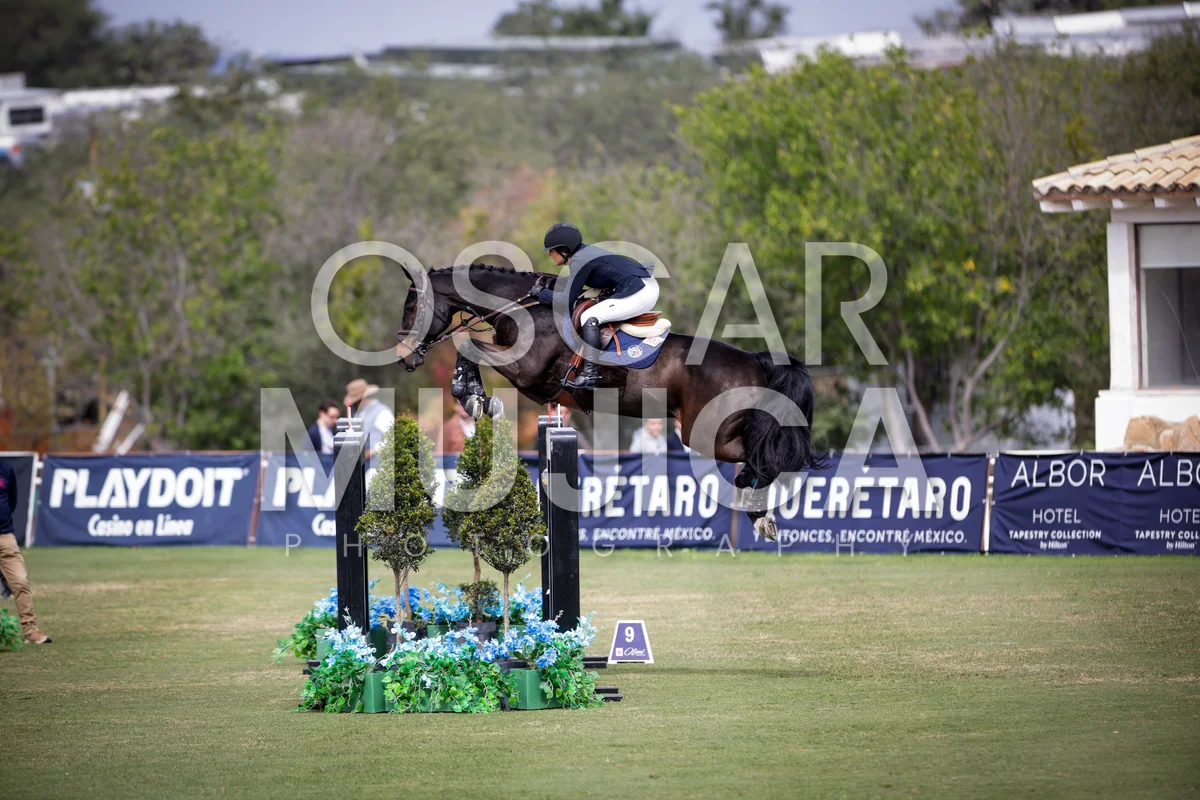 Foto de MARIA MICHEL