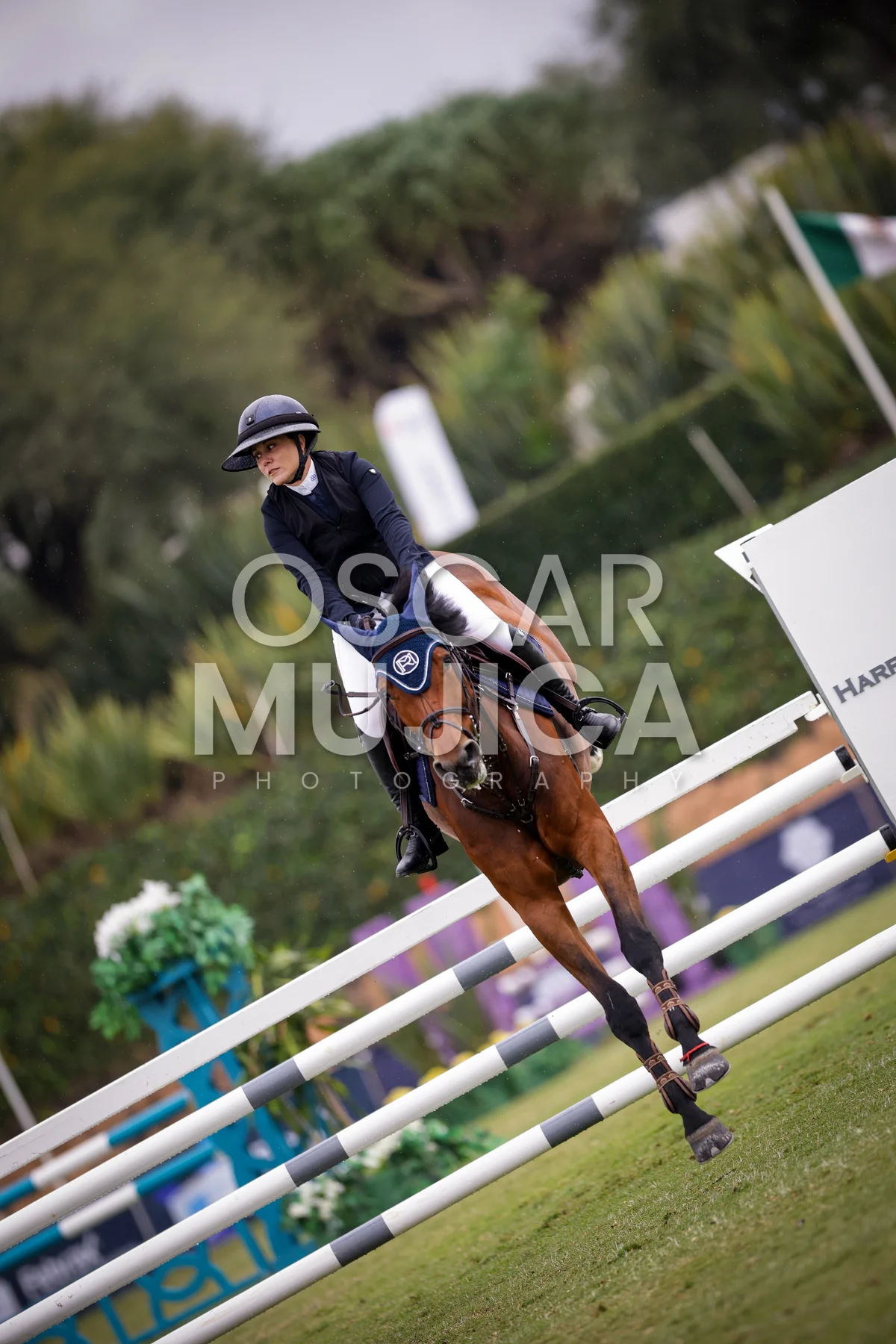 Foto de MARILLY MEYER